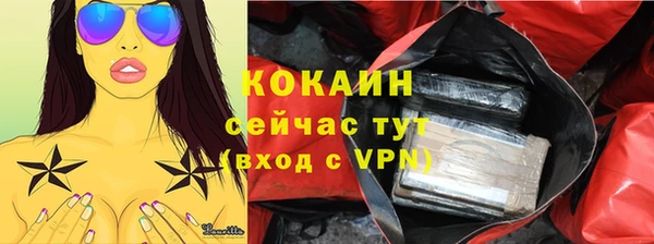 твердый Алексин