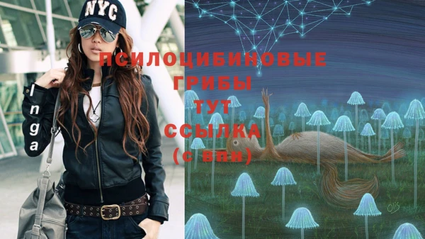 соль ск Алзамай