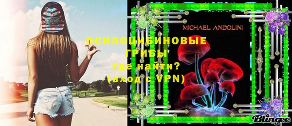 твердый Алексин